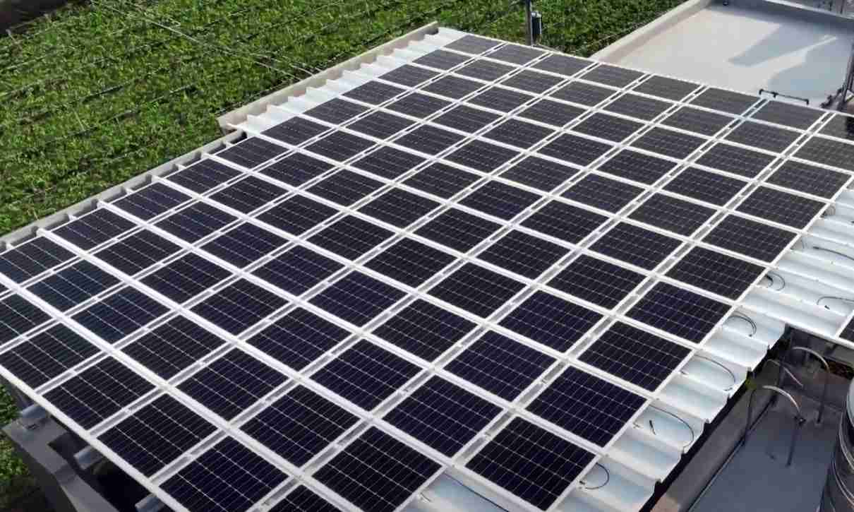 尊龙z6SunSteel光电浪板升级双玻结构，，，，以提升机械负载强度及气候耐候度，，，可广泛运用于多元场域